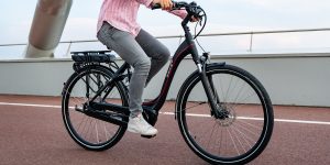 Mevrouw fiets op Ebike das original op het fietspad